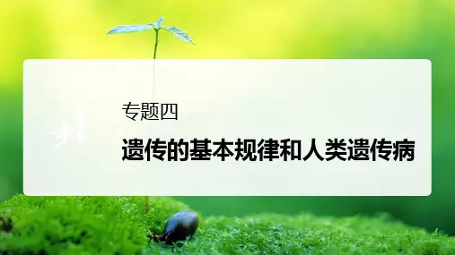 专题四 微专题 三  假说—演绎法及其应用