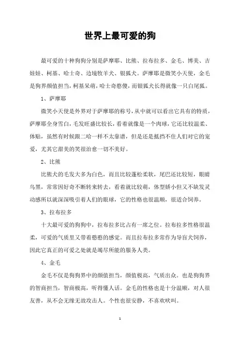 世界上最可爱的狗