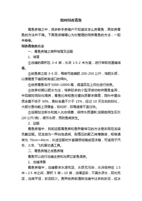 如何饲养青鱼