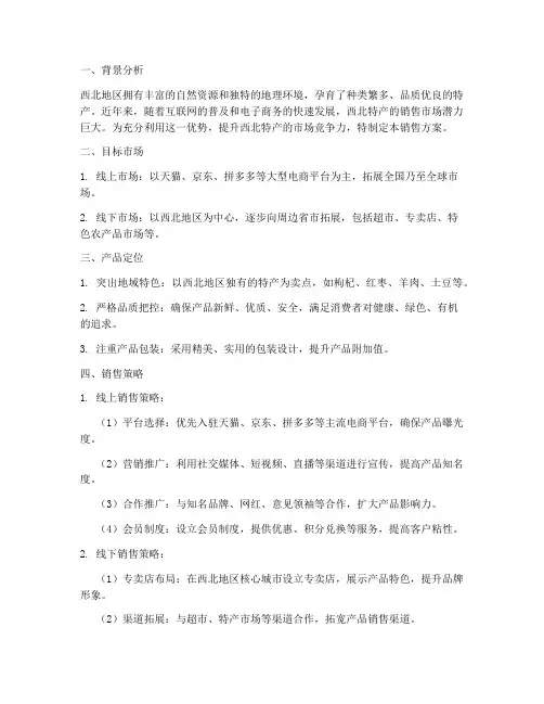 西北特产销售方案