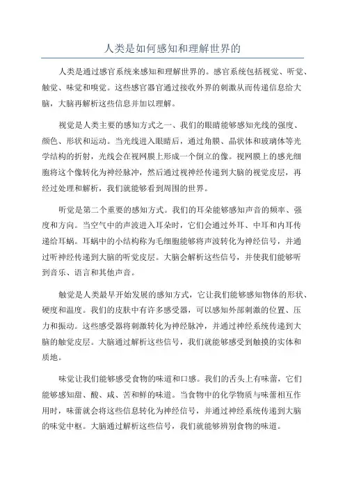 人类是如何感知和理解世界的