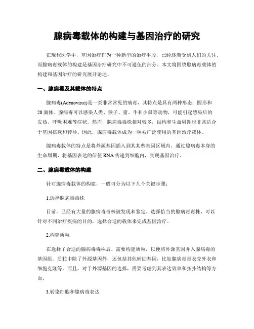 腺病毒载体的构建与基因治疗的研究