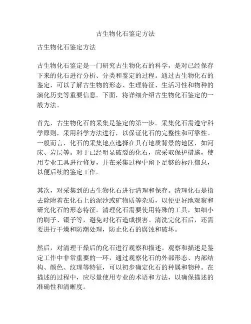 古生物化石鉴定方法