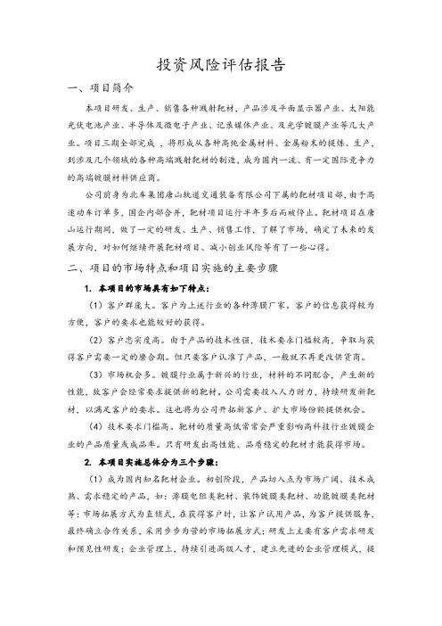 投资风险评估报告