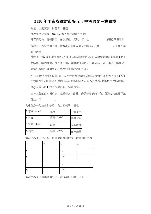 2020年山东省潍坊市安丘市中考语文三模试卷(附答案详解)