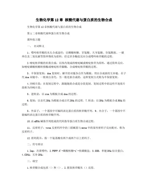 生物化学第12章 核酸代谢与蛋白质的生物合成