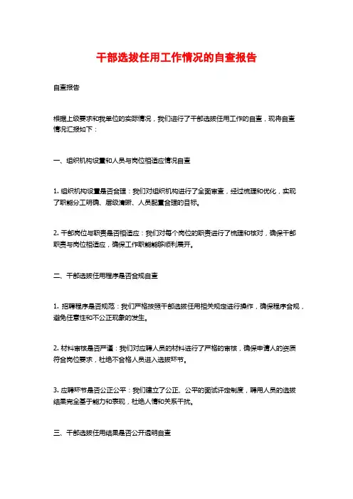 干部选拔任用工作情况的自查报告