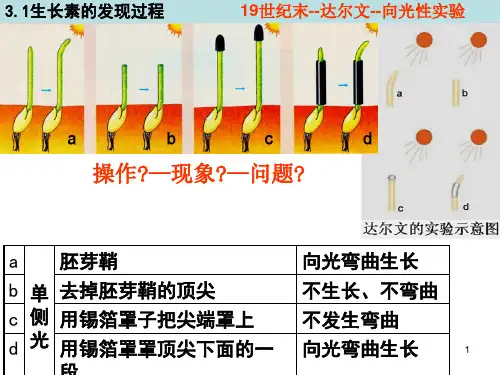 3.3.1植物生长素的发现PPT优秀课件