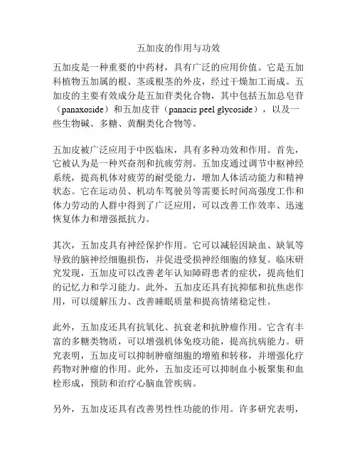 五加皮的作用与功效