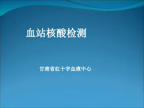 血站核酸检测