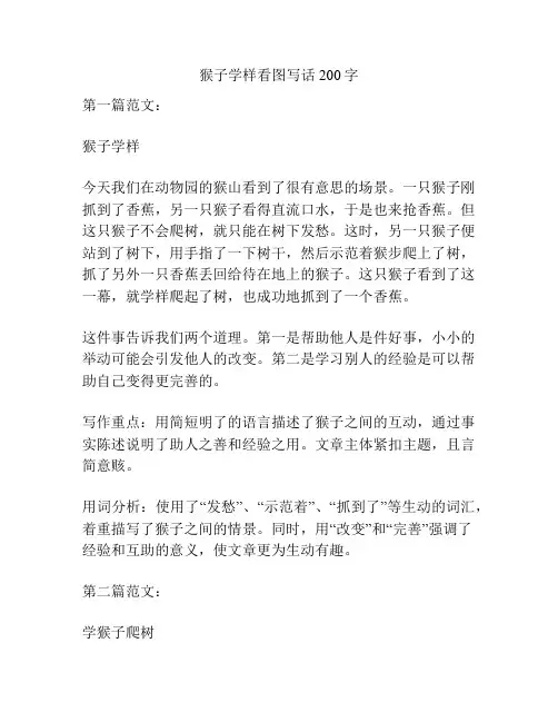 猴子学样看图写话200字