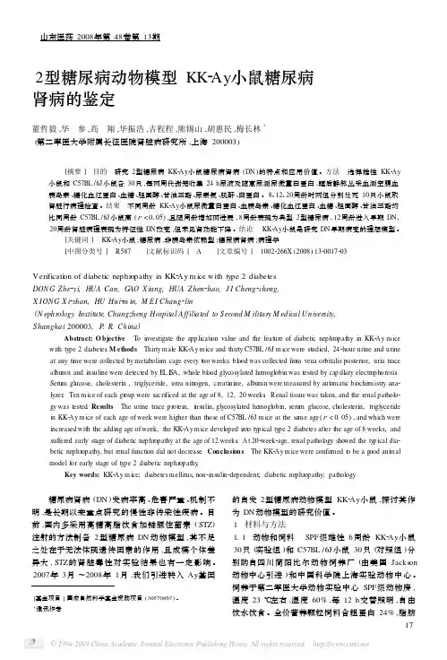2型糖尿病动物模型KK_Ay小鼠糖尿病肾病的鉴定