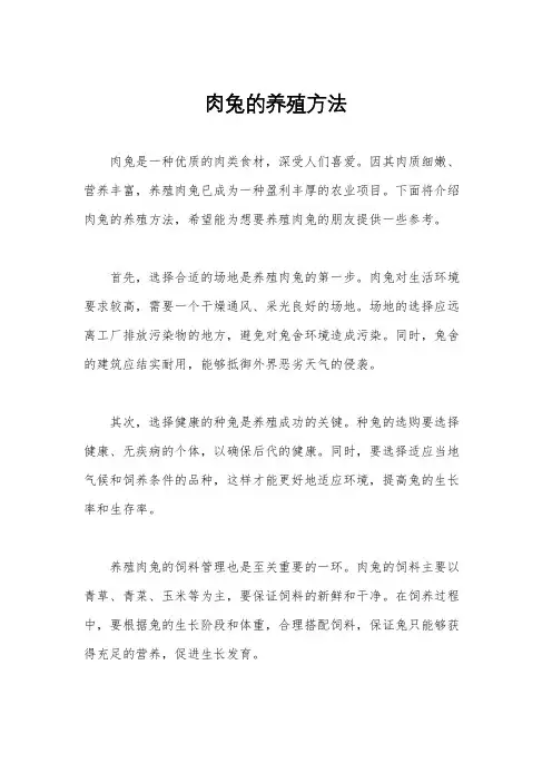 肉兔的养殖方法