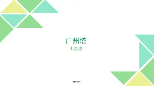 广州小蛮腰建筑结构分析课件.ppt