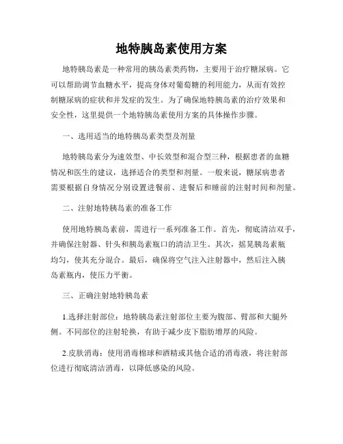 地特胰岛素使用方案