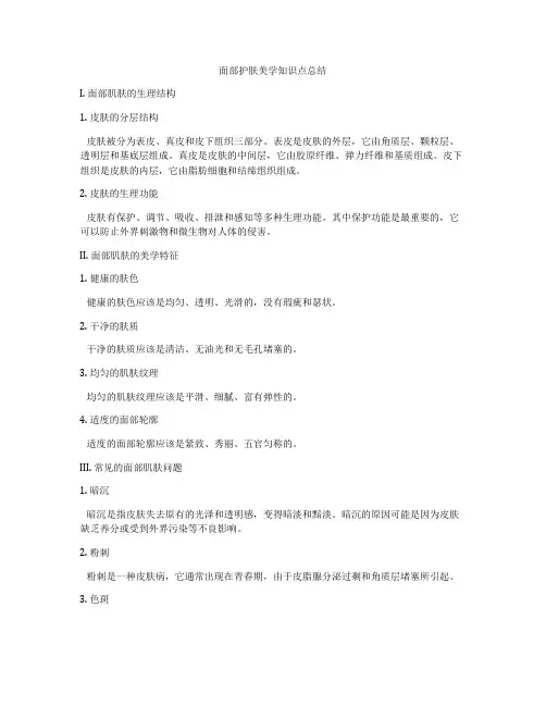 面部护肤美学知识点总结