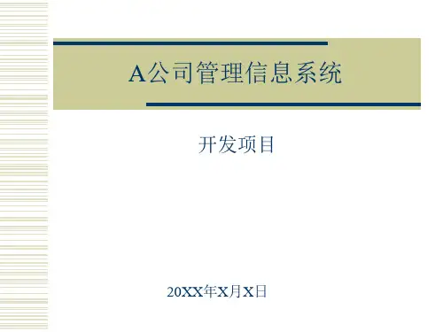 某公司管理信息系统开发项目概述(PPT26页)