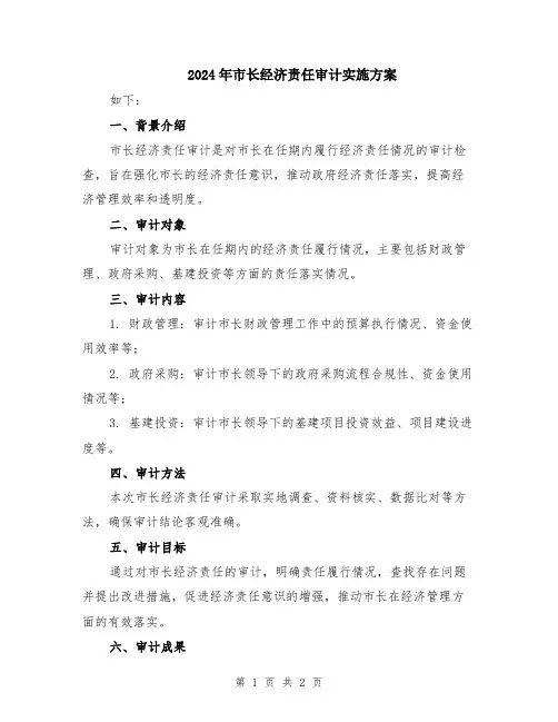 2024年市长经济责任审计实施方案