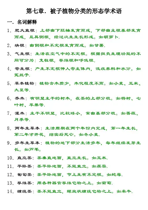 被子植物分类的形态学术语练习题