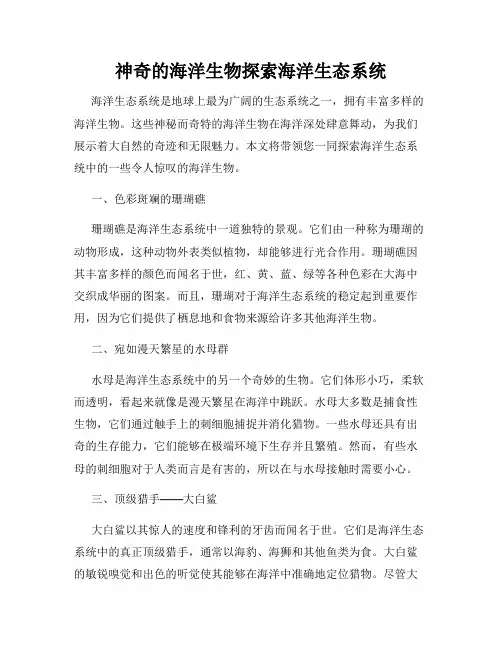 神奇的海洋生物探索海洋生态系统