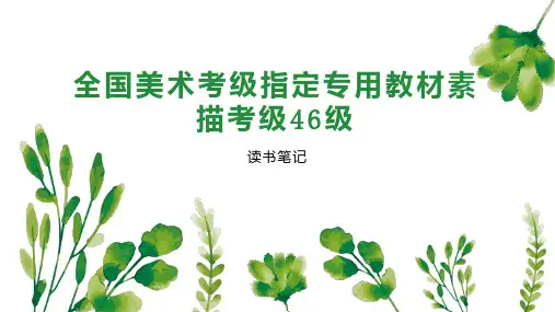 全国美术考级指定专用教材素描考级46级