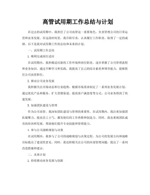 高管试用期工作总结与计划