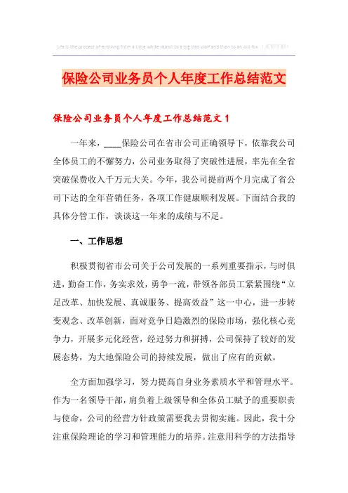 保险公司业务员个人年度工作总结范文