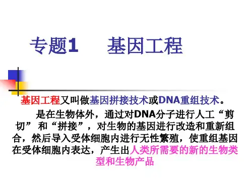 专题1基因工程.pptx