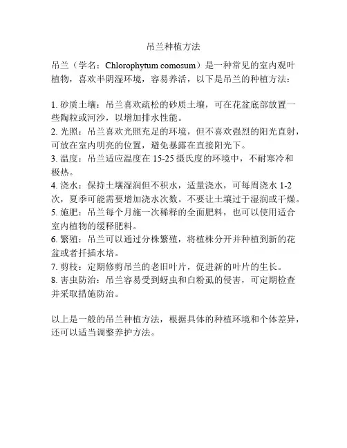 吊兰种植方法
