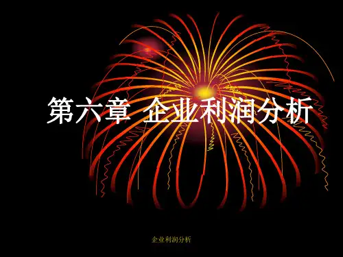 企业利润分析PPT课件