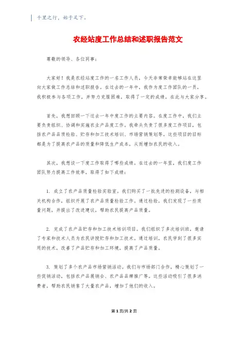 农经站度工作总结和述职报告范文