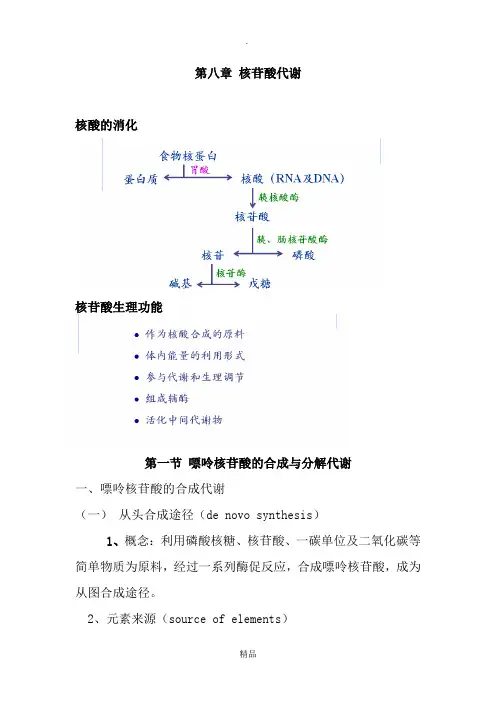 核苷酸代谢讲稿