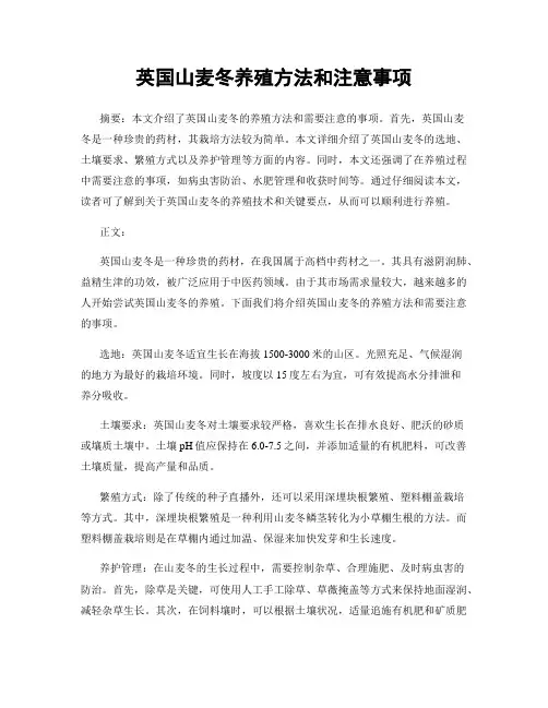 英国山麦冬养殖方法和注意事项