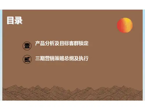 2012武汉地产 统建同安家园策略总纲与销售执行报告108P