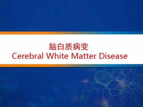 (精选课件)脑白质病变