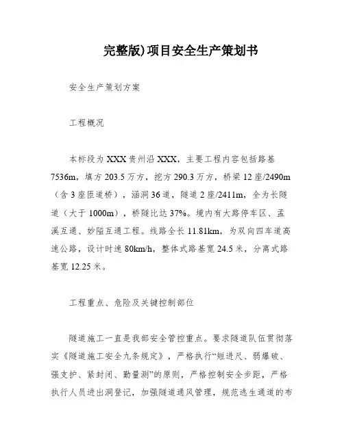 完整版)项目安全生产策划书