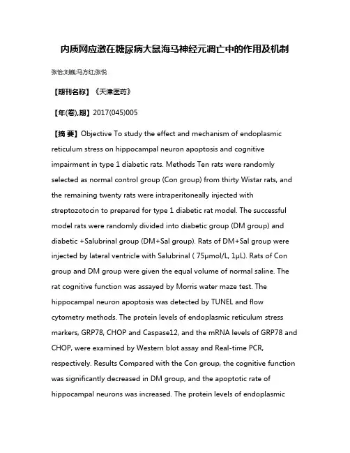 内质网应激在糖尿病大鼠海马神经元凋亡中的作用及机制