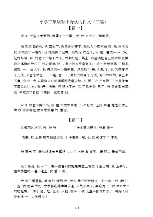 小学三年级关于野炊的作文(三篇)