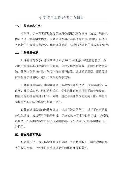 小学体育工作评估自查报告