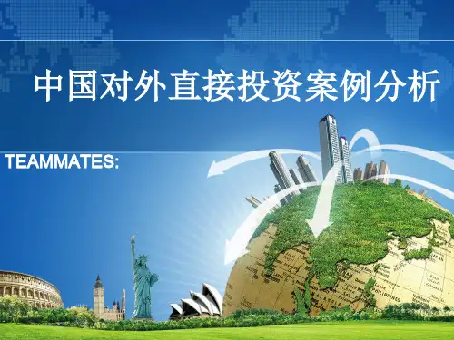 中国对外直接投资案例分析
