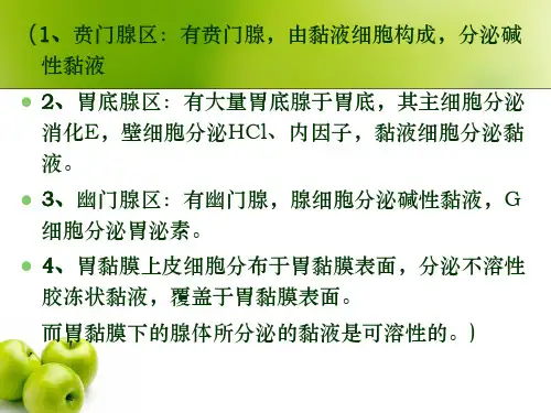 第三节单胃动物胃内消化ppt课件