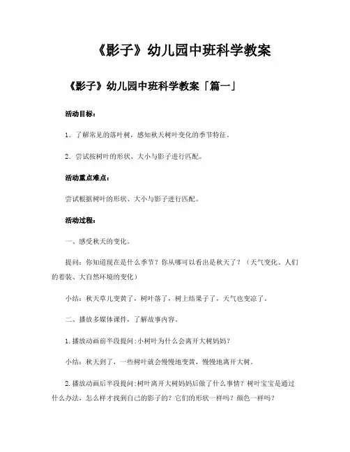 《影子》幼儿园中班科学教案