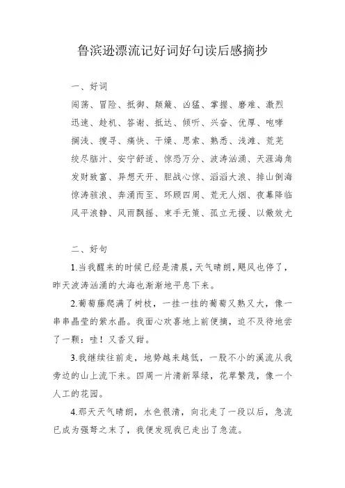 鲁滨逊漂流记好词好句读后感摘抄