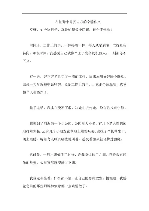 在忙碌中寻找内心的宁静作文