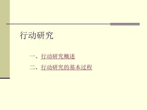 11,行动研究