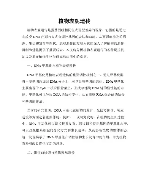 植物表观遗传