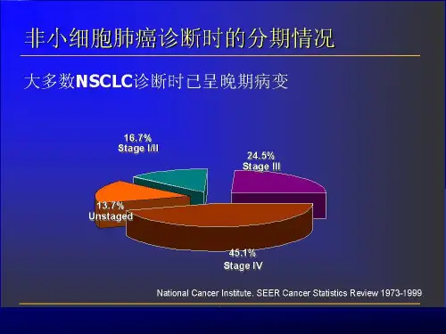 NSCLC非小细胞肺癌进展课件
