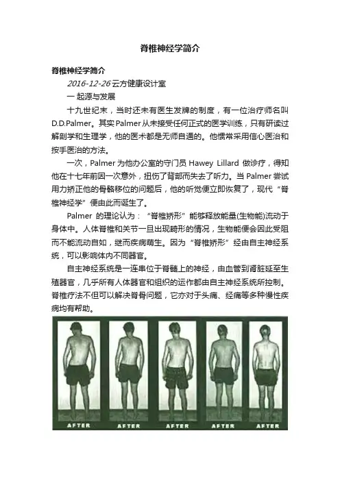 脊椎神经学简介