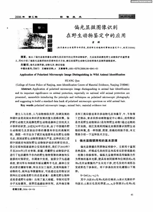 偏光显微图像识别在野生动物鉴定中的应用