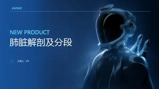 肺脏解剖及分段